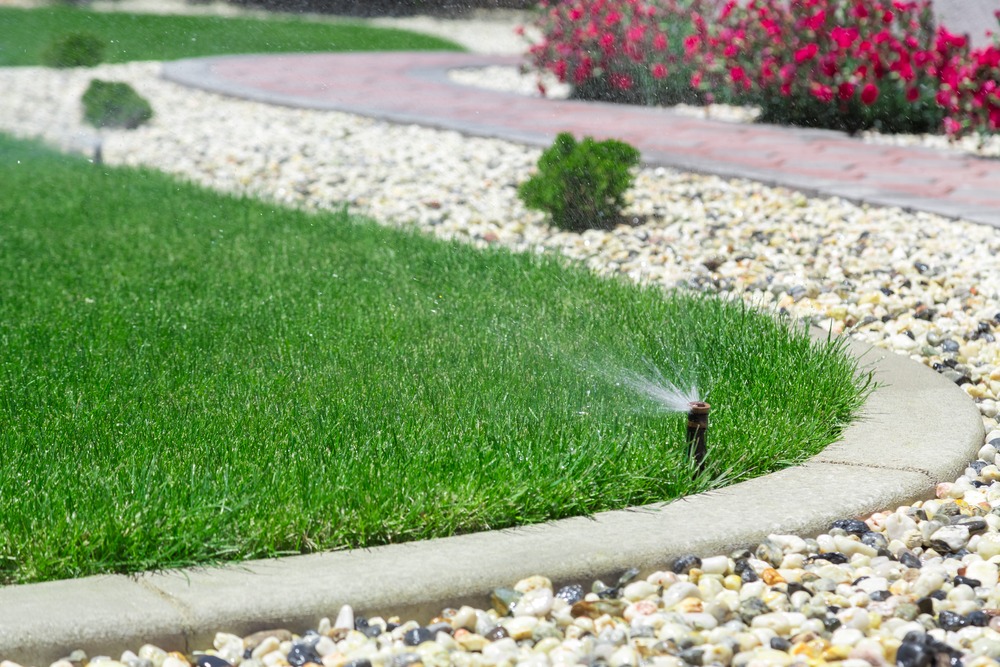 4 Steps to an Earth-Friendly Lawn Care Routine