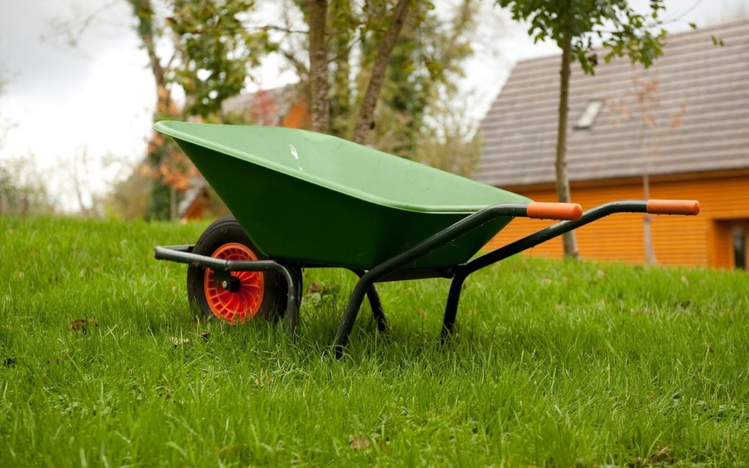 Spring and Your Lawn: Tips for Bringing Back Your Grass