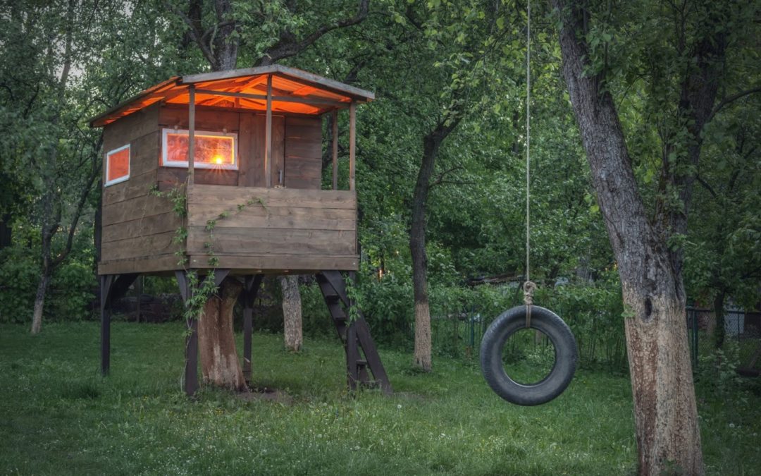 Using Your Yard Without Damaging Your Trees