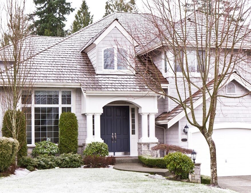 5 Reasons to Water Your Trees in the Winter