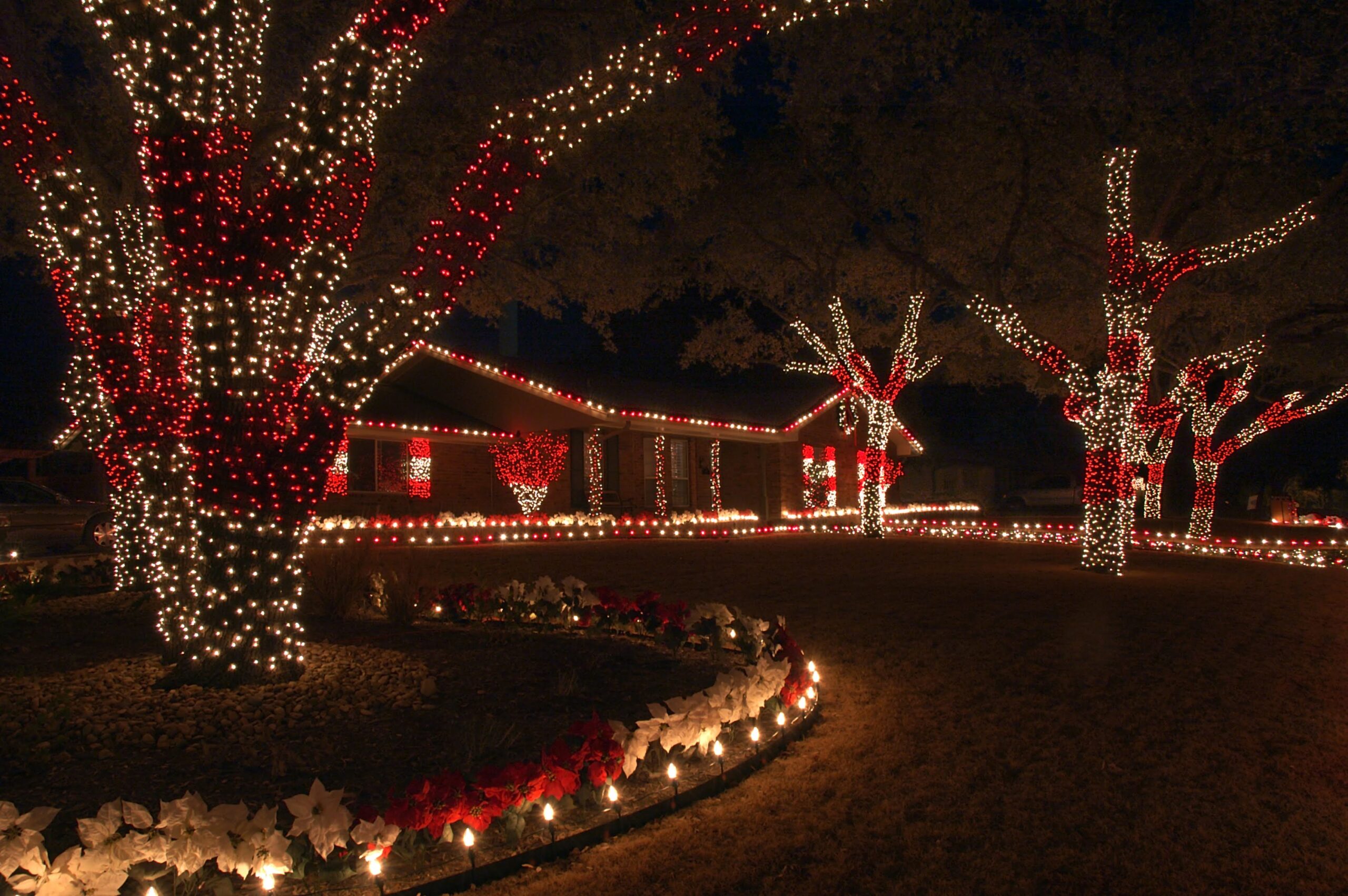 Christmas Movie Lighting Schulhoff Tree & Lawn Care, Inc.