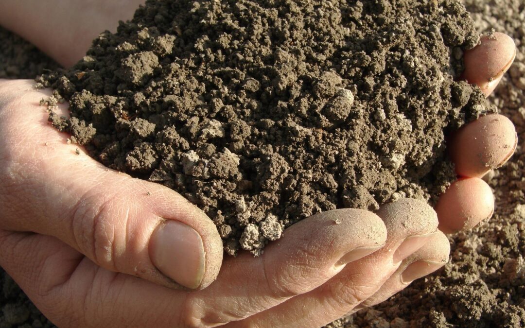 Get Ready for Spring: The Complete Guide to Understanding Soil Compaction