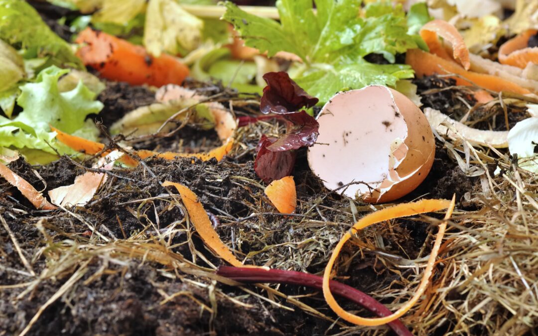 How Composting Infuses Life Into Your Garden