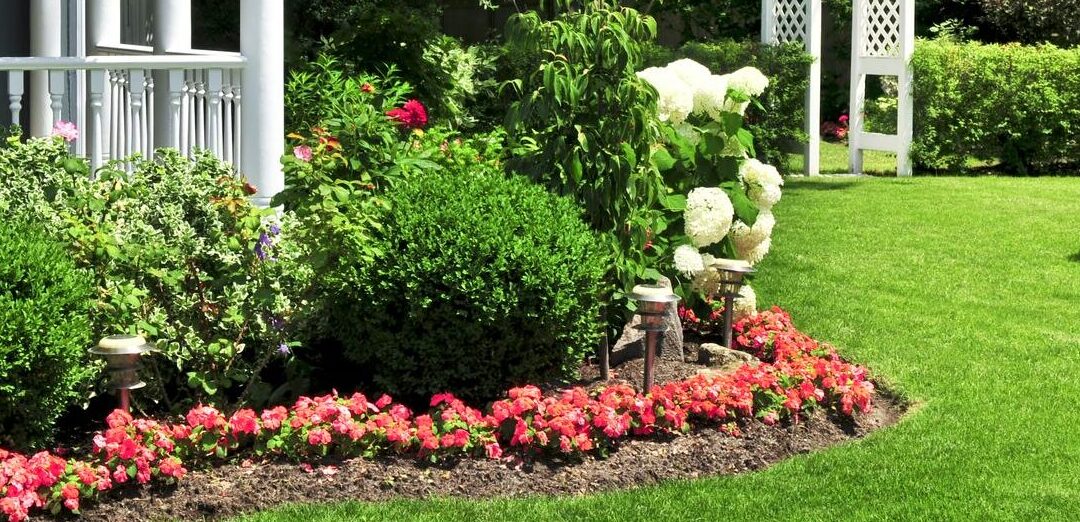 Essential Design Considerations for Shrub Planting